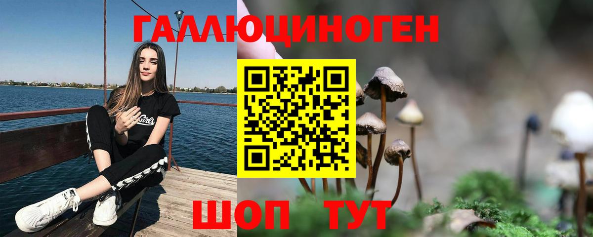 Галлюциногенные грибы Psilocybe  Галлюциногенные грибы мицелий  Лабинск  Вход с VPN 
